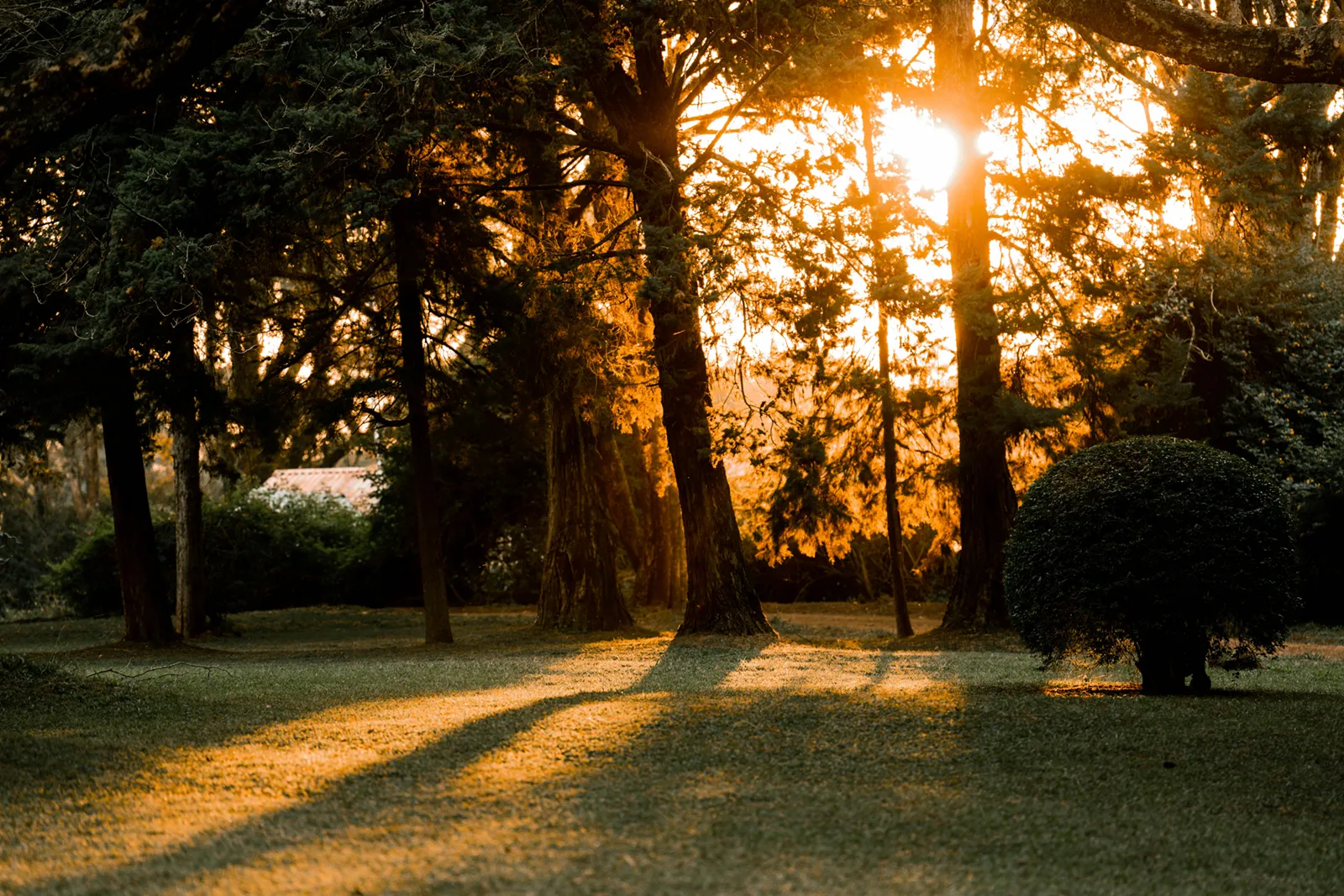 カレン・ブリクセン博物館：歴史と異国情緒を感じる撮影地