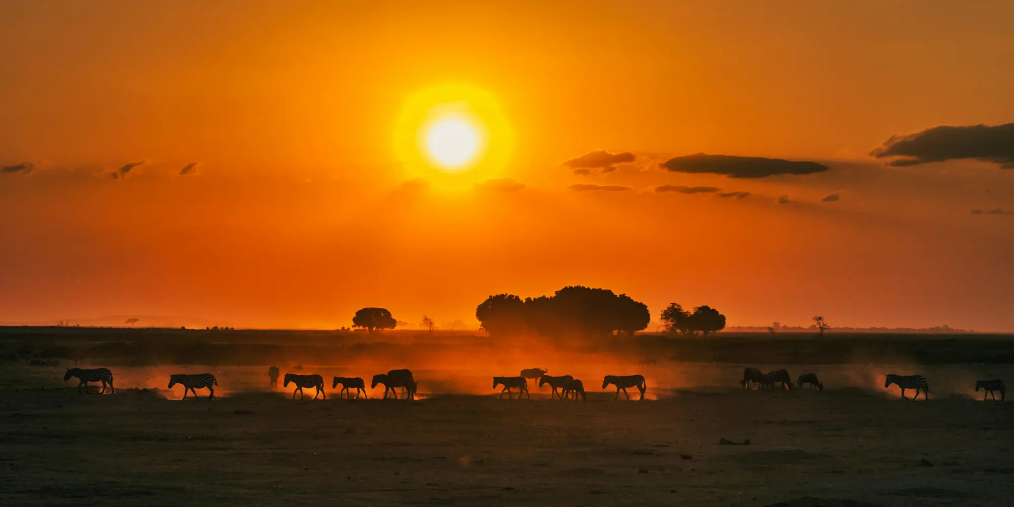 ケニアでの映像制作