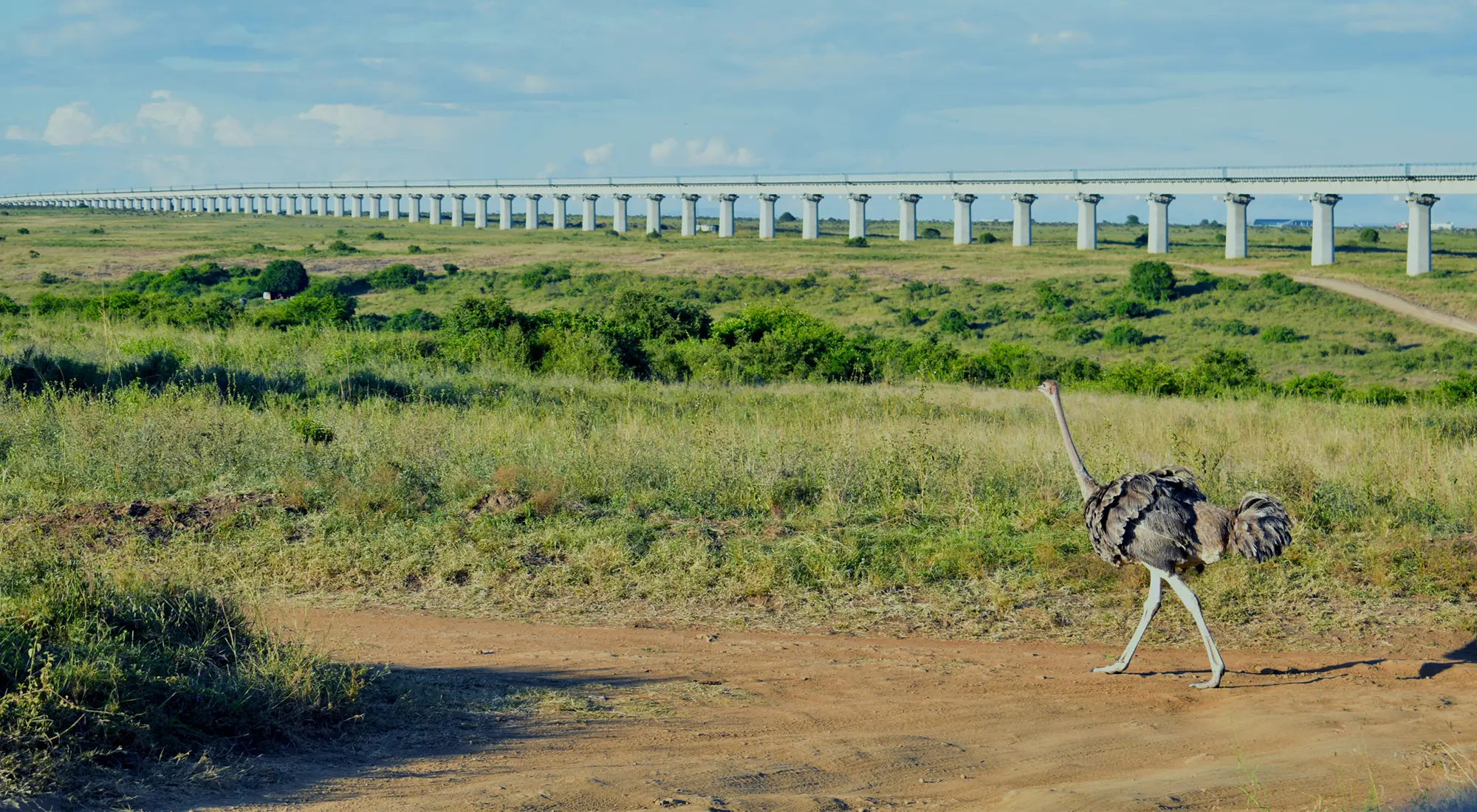 ニッポン・プロダクション・ケニアの映像コーディネート会社